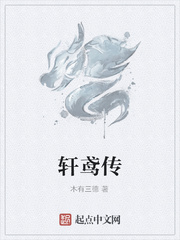轩鸢传