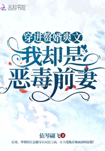 穿进赘婿爽文，我却是恶毒前妻