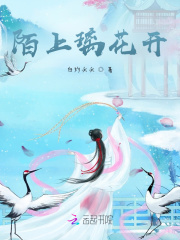 冰山王爷，独宠公主妃