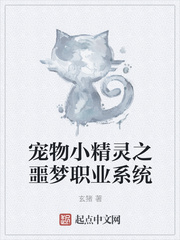 宠物小精灵之噩梦职业系统
