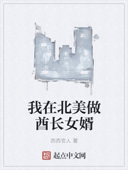 我在北美做酋长女婿