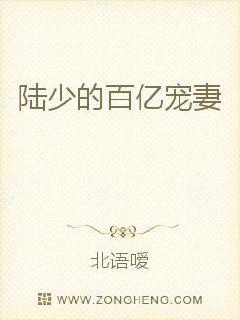 陆少的百亿宠妻
