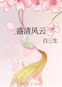 盛清风云