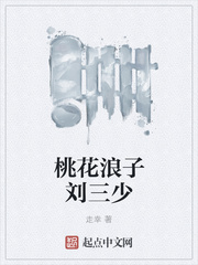 桃花浪子刘三少