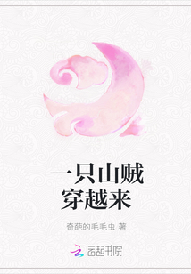 一只山贼穿越来