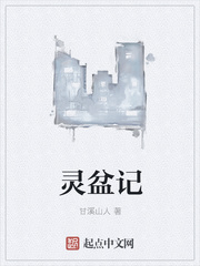 灵盆记