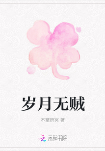 岁月无贼