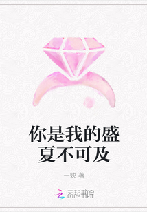 你是我的盛夏不可及