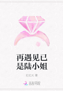 再遇见已是陆小姐