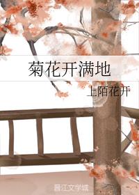 菊花开满地