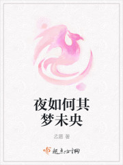 夜如何其梦未央
