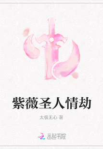 紫薇圣人情劫