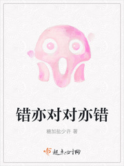 错亦对对亦错