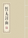 牛小顿的棺材板