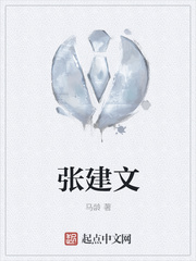 张建文