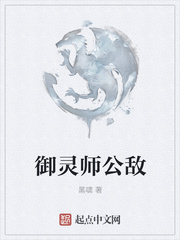 御灵师公敌